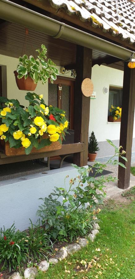 Apartment Sonce Bohinj Exterior photo